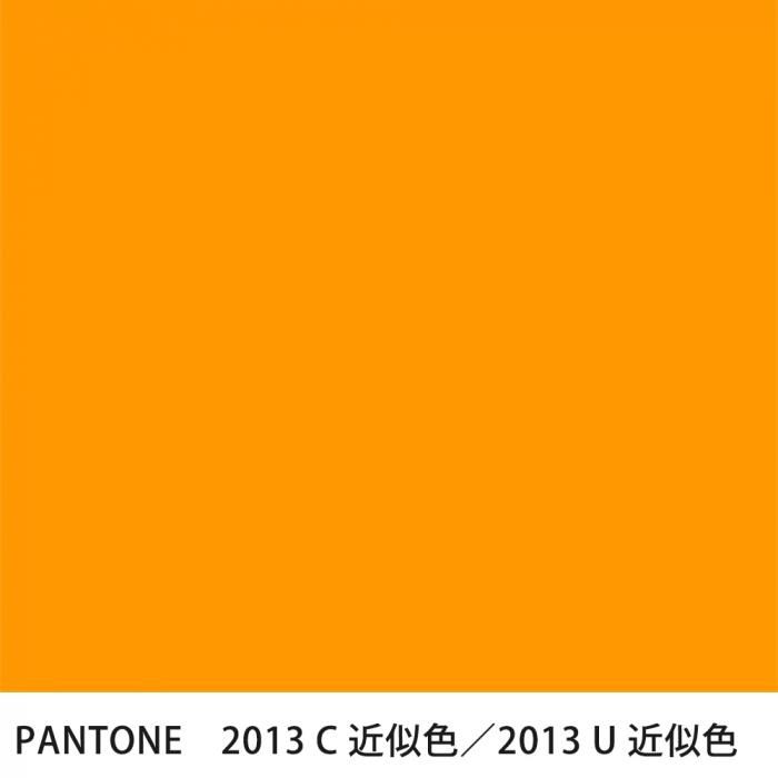  PANTONE 2013C2013U