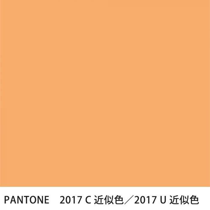  PANTONE 2017C2017U