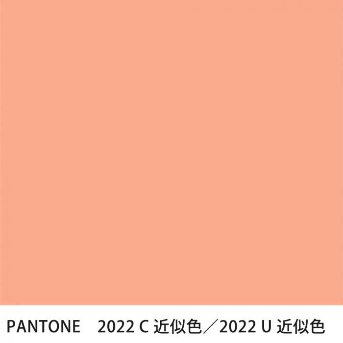  PANTONE 2022C2022U