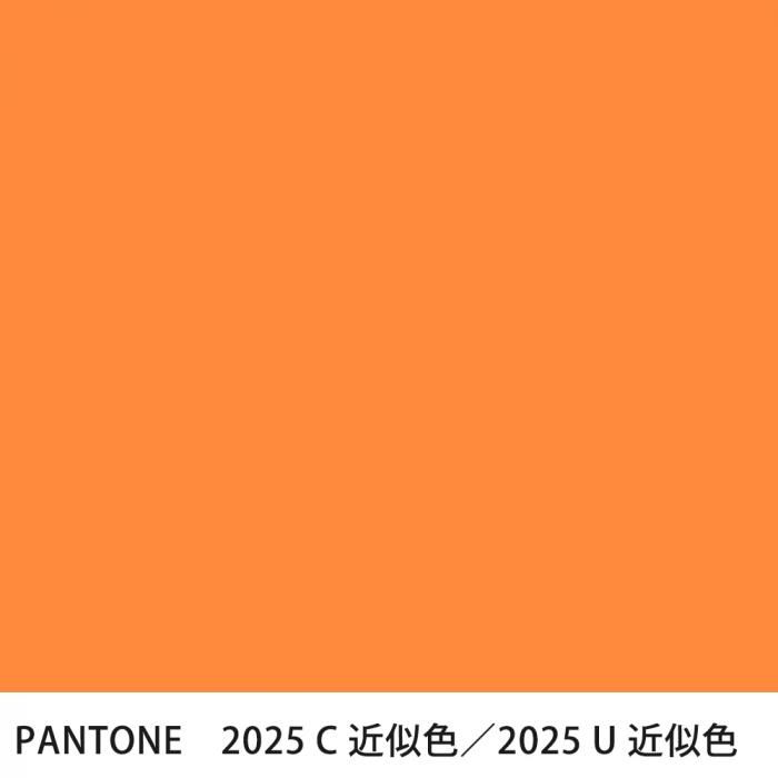  PANTONE 2025C2025U