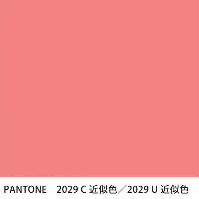  PANTONE 2029C2029U