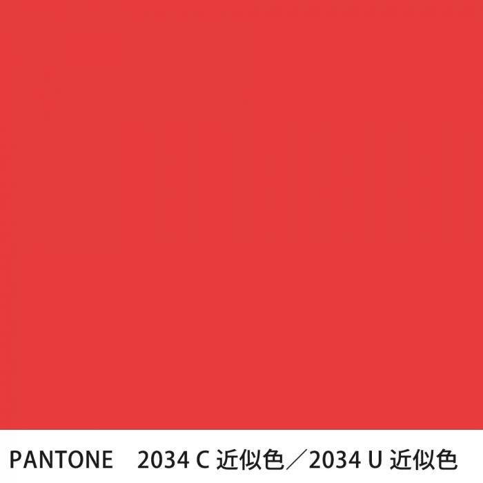  PANTONE 2034C2034U