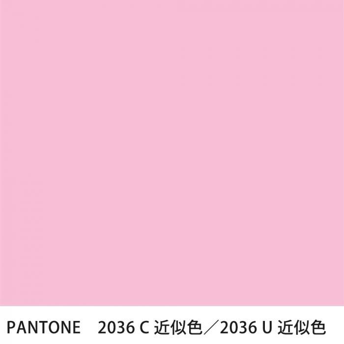  PANTONE 2036C2036U