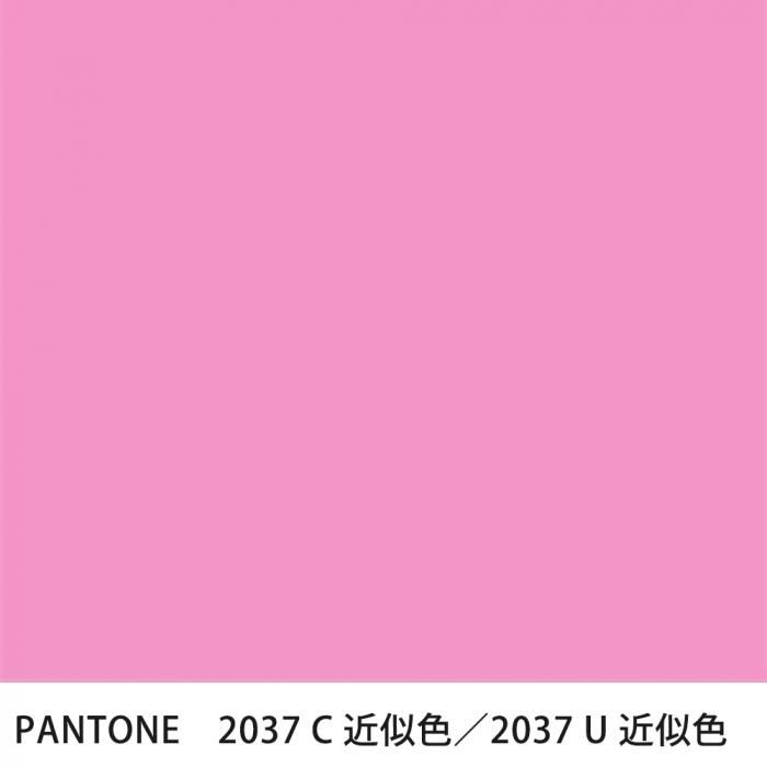  PANTONE 2037C2037U