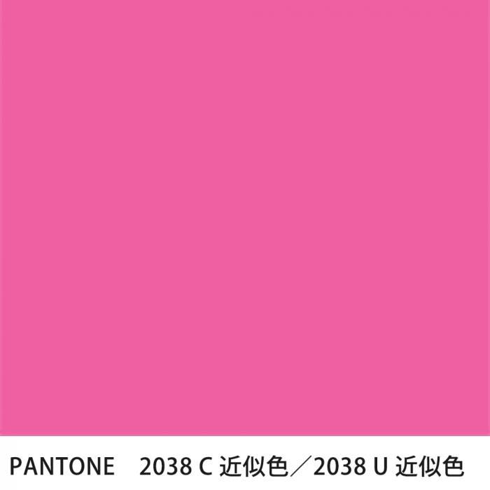  PANTONE 2038C2038U