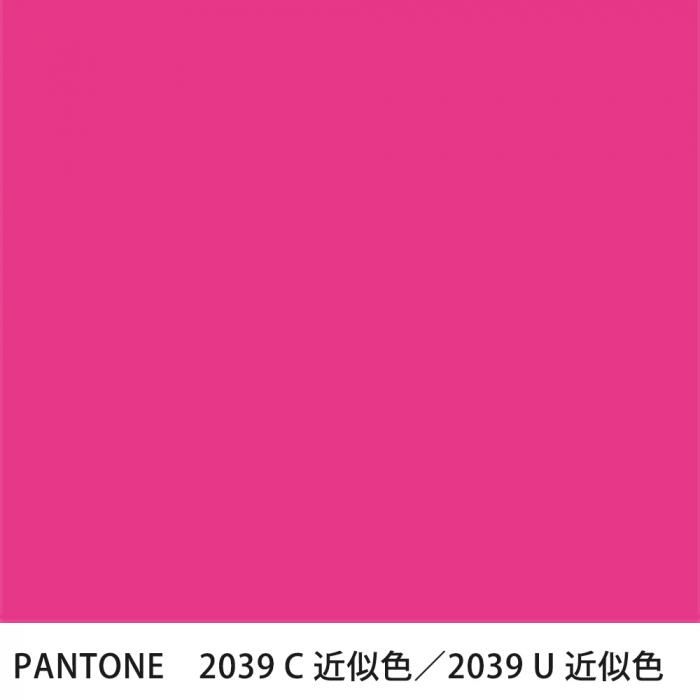  PANTONE 2039C2039U