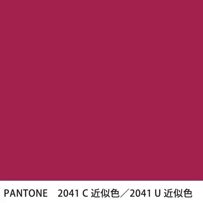  PANTONE 2041C2041U