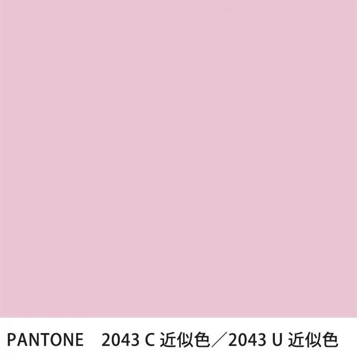  PANTONE 2043C2043U