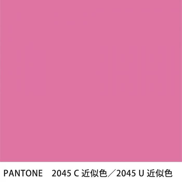  PANTONE 2045C2045U