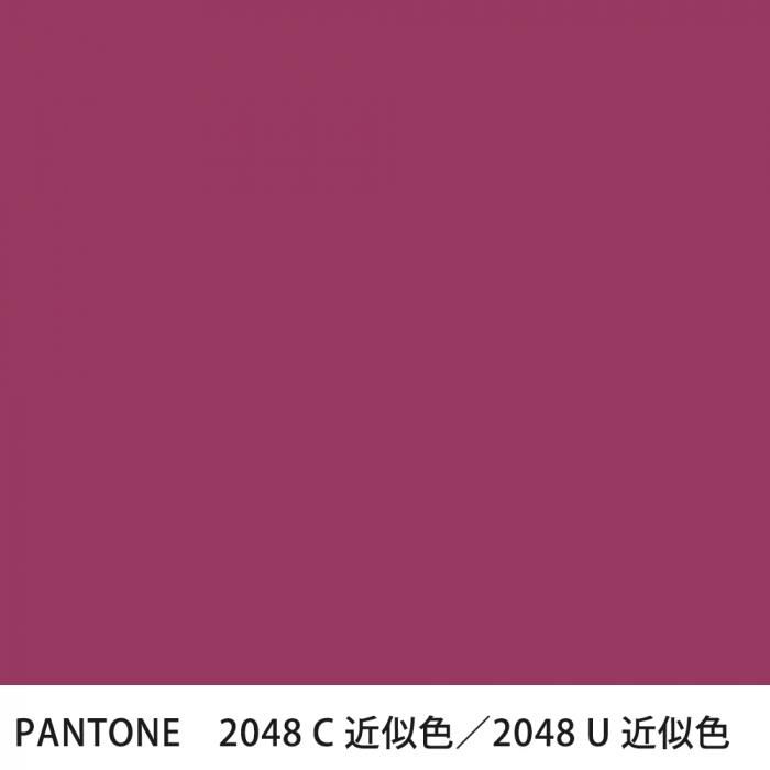  PANTONE 2048C2048U