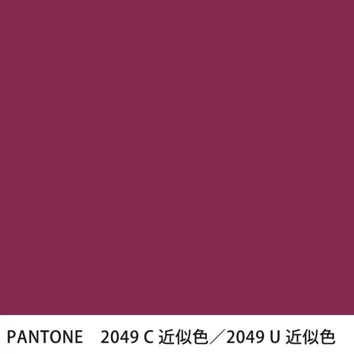  PANTONE 2049C2049U