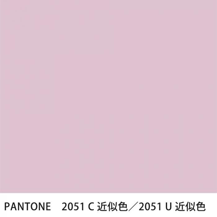  PANTONE 2051C2051U