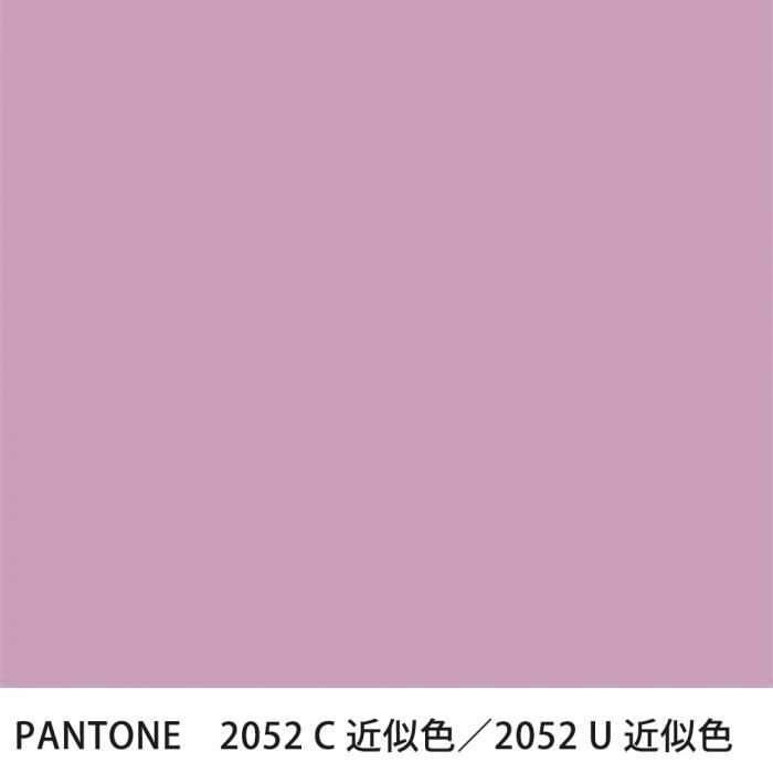  PANTONE 2052C2052U