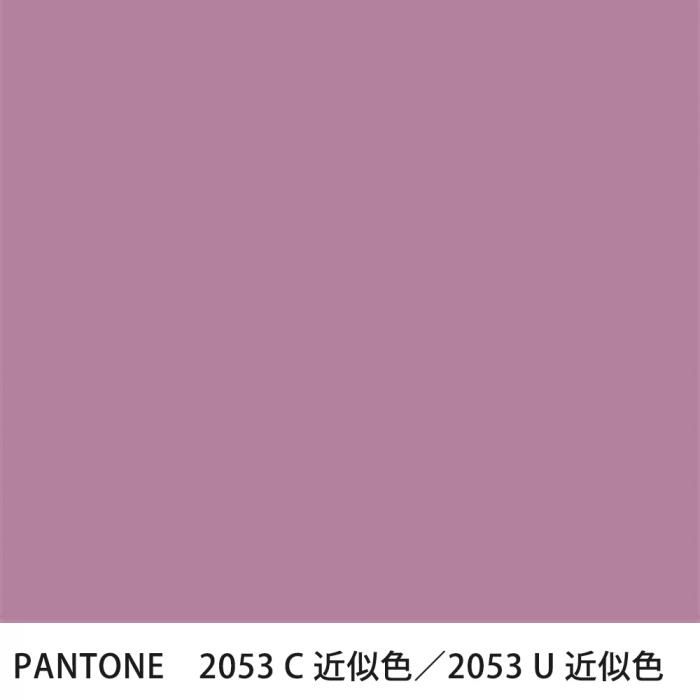  PANTONE 2053C2053U