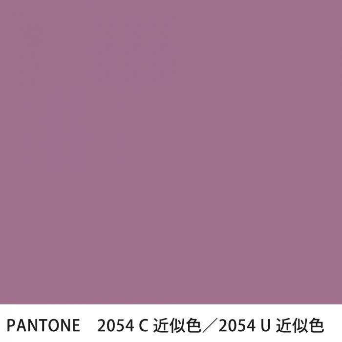  PANTONE 2054C2054U