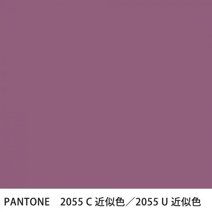  PANTONE 2055C2055U