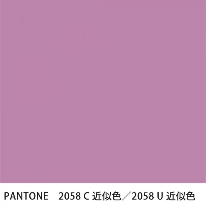  PANTONE 2058C2058U