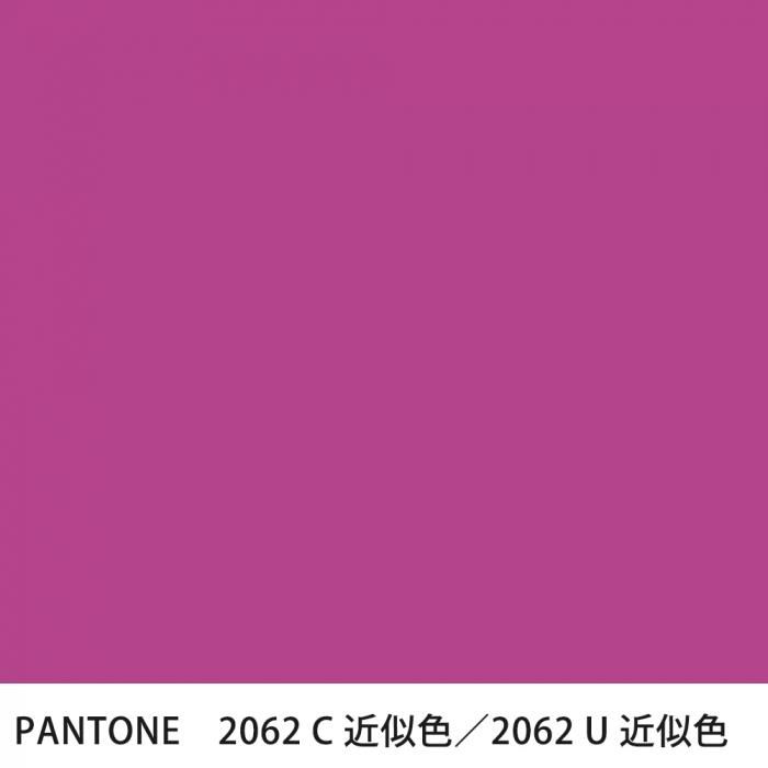  PANTONE 2062C2062U