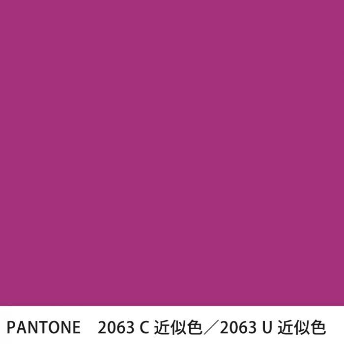  PANTONE 2063C2063U