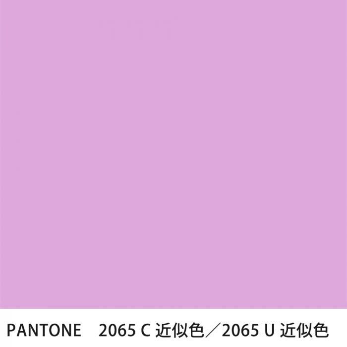  PANTONE 2065C2065U