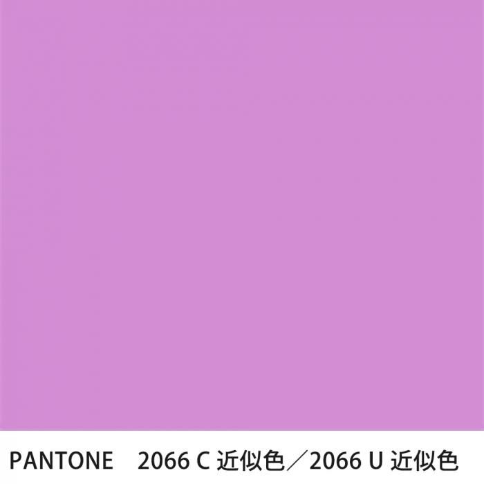  PANTONE 2066C2066U