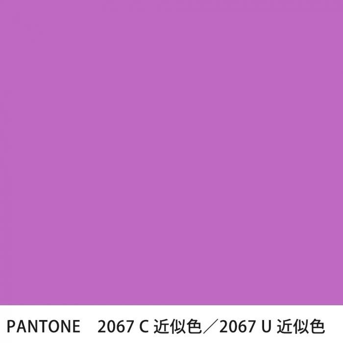  PANTONE 2067C2067U