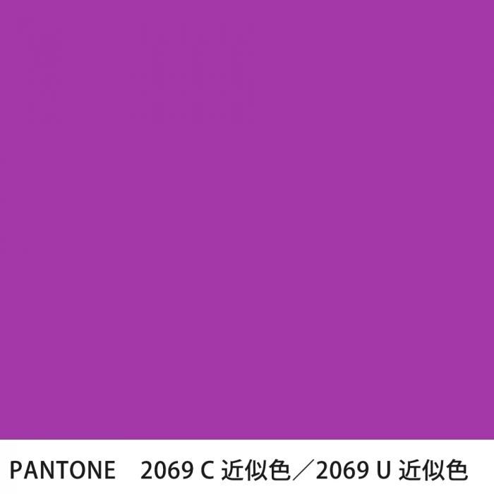  PANTONE 2069C2069U