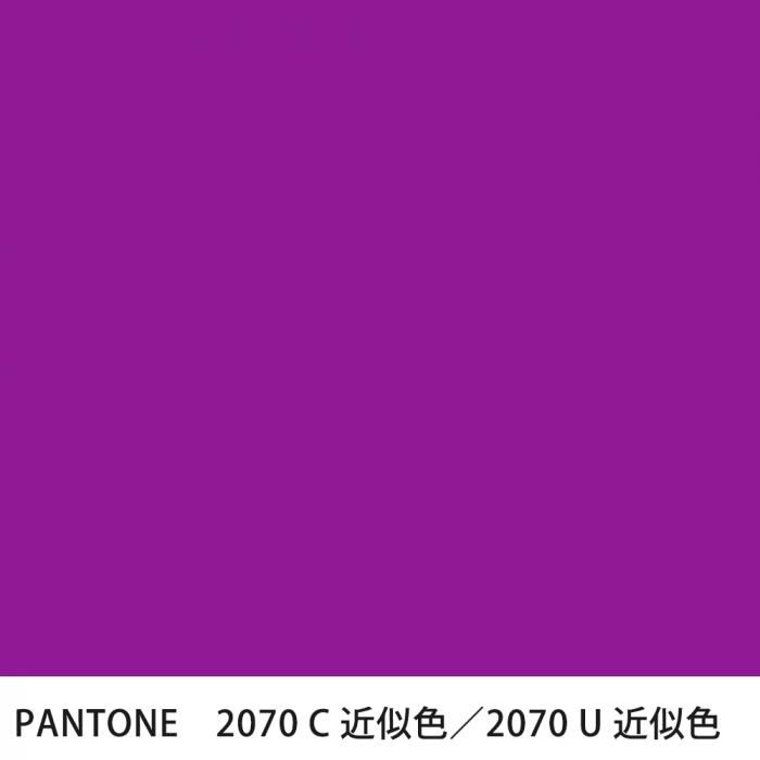  PANTONE 2070C2070U