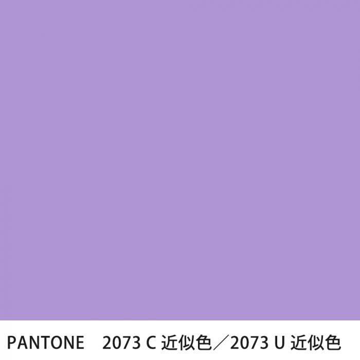  PANTONE 2073C2073U