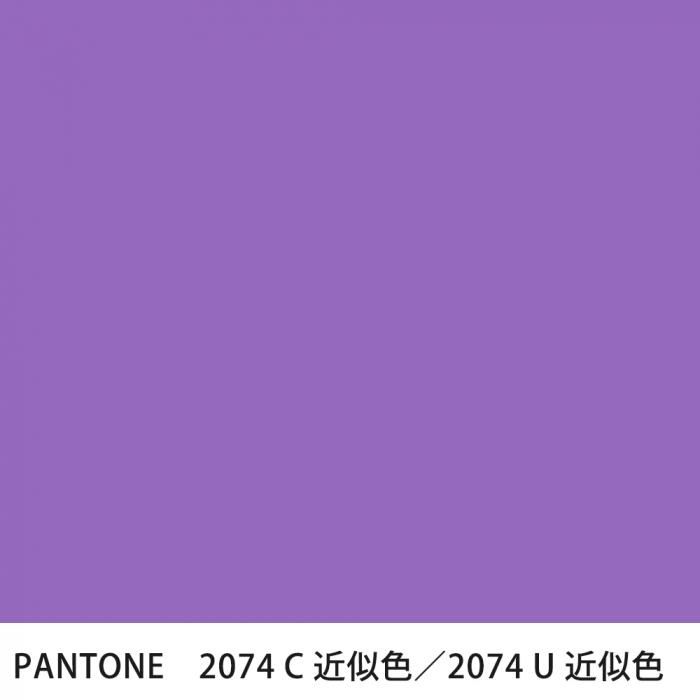  PANTONE 2074C2074U