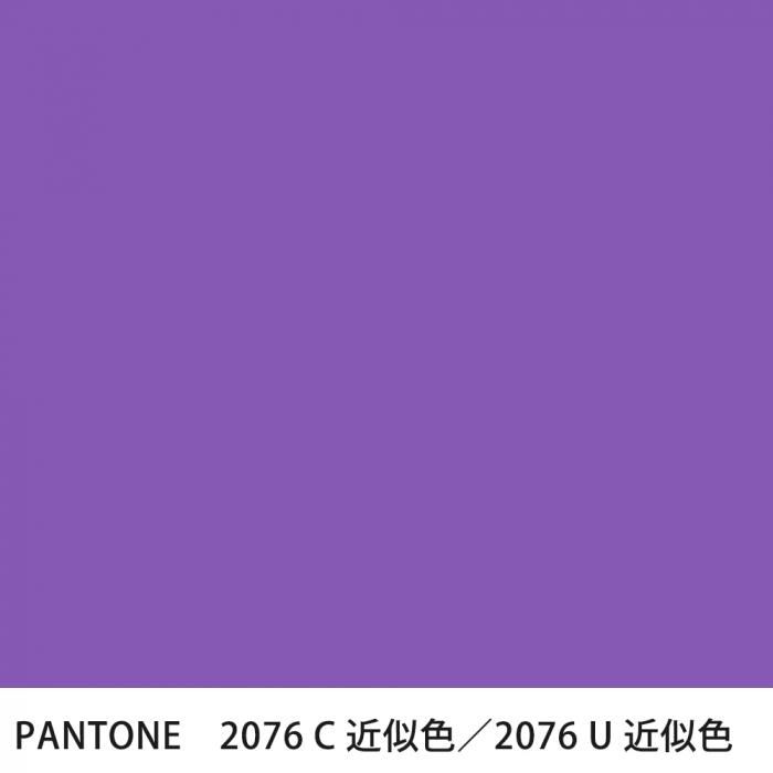  PANTONE 2076C2076U