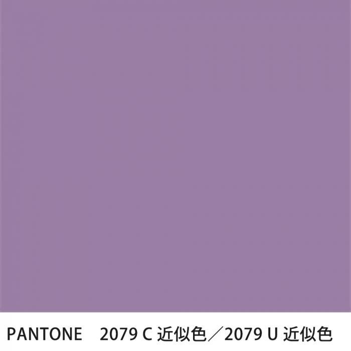  PANTONE 2079C2079U