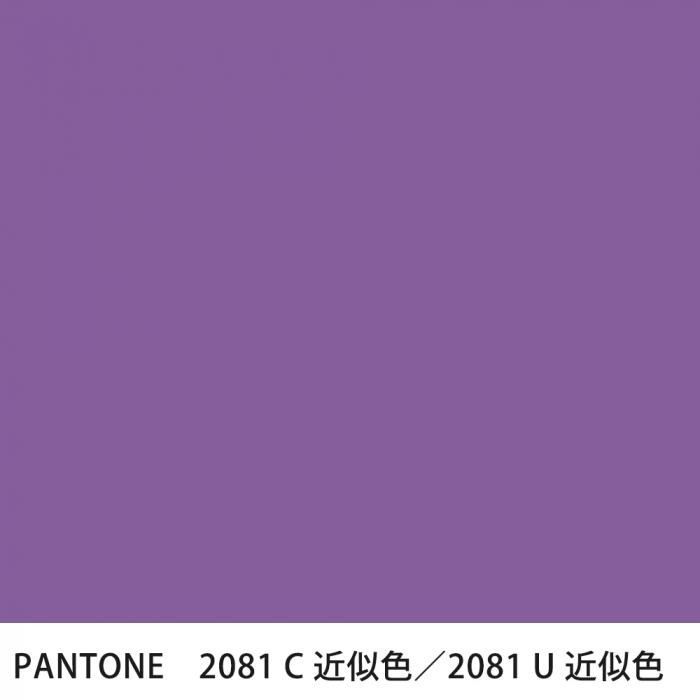  PANTONE 2081C2081U