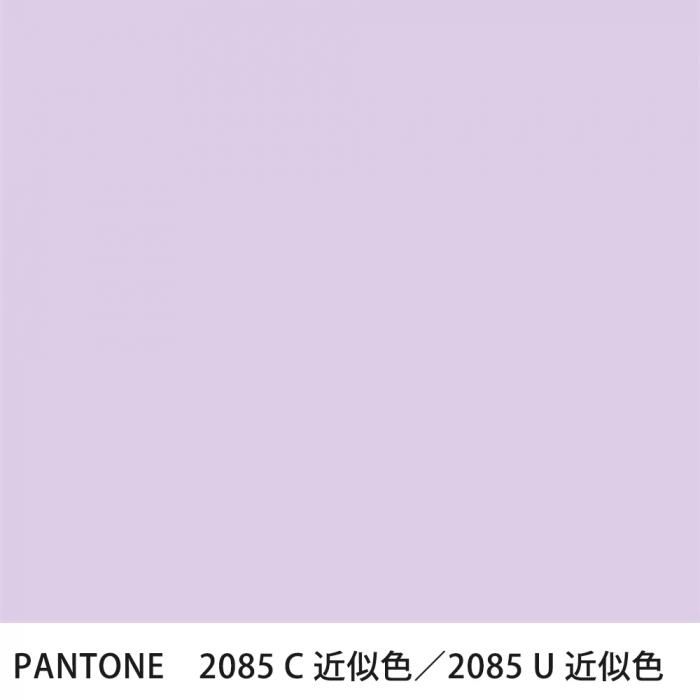  PANTONE 2085C2085U