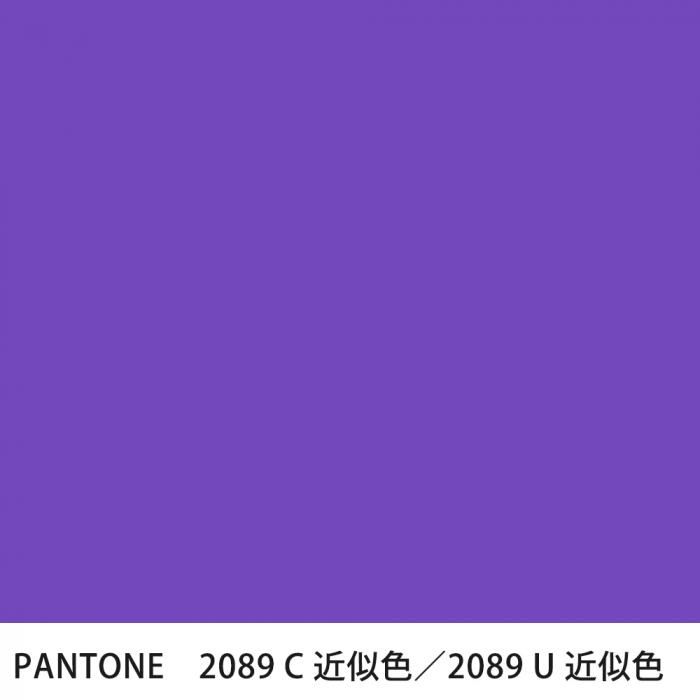  PANTONE 2089C2089U