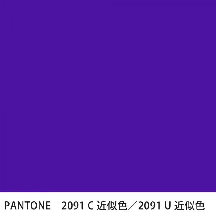  PANTONE 2091C2091U