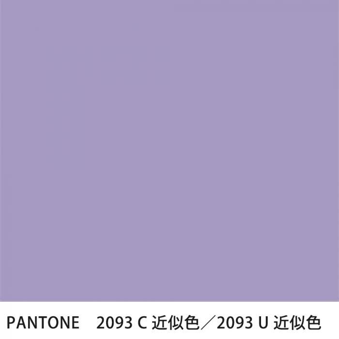  PANTONE 2093C2093U