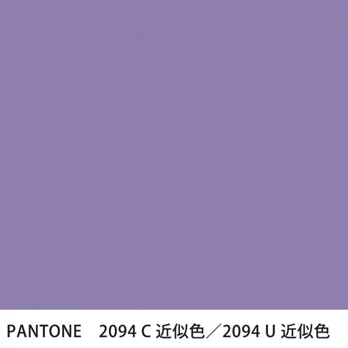  PANTONE 2094C2094U