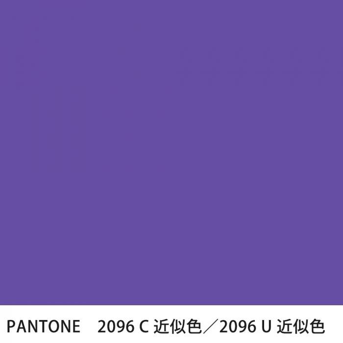  PANTONE 2096C2096U