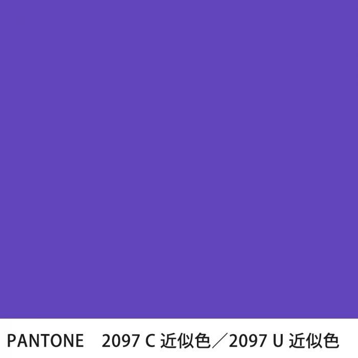  PANTONE 2097C2097U