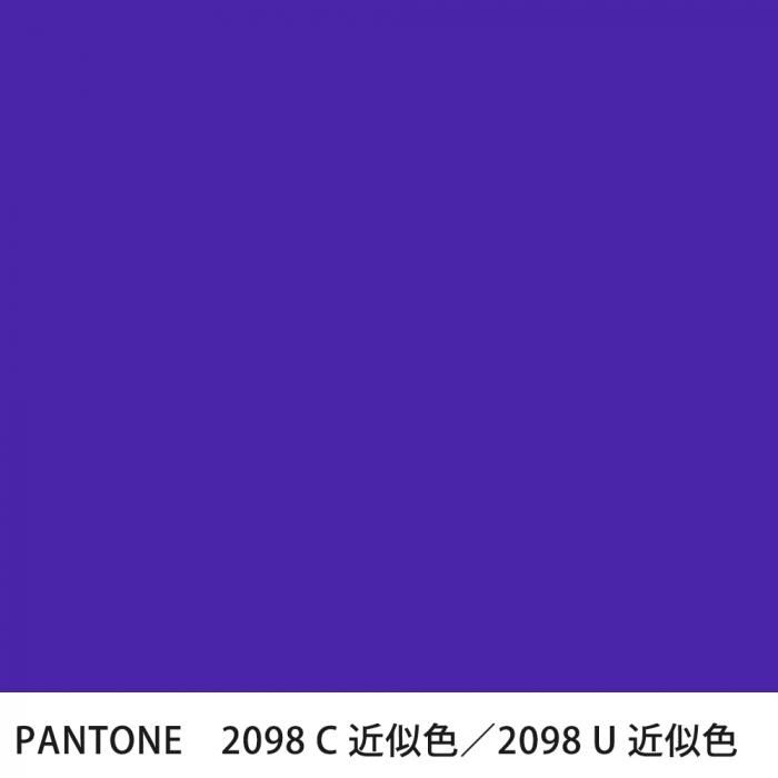  PANTONE 2098C2098U