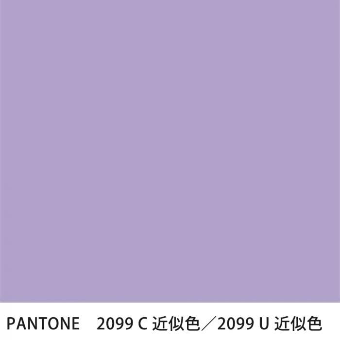  PANTONE 2099C2099U