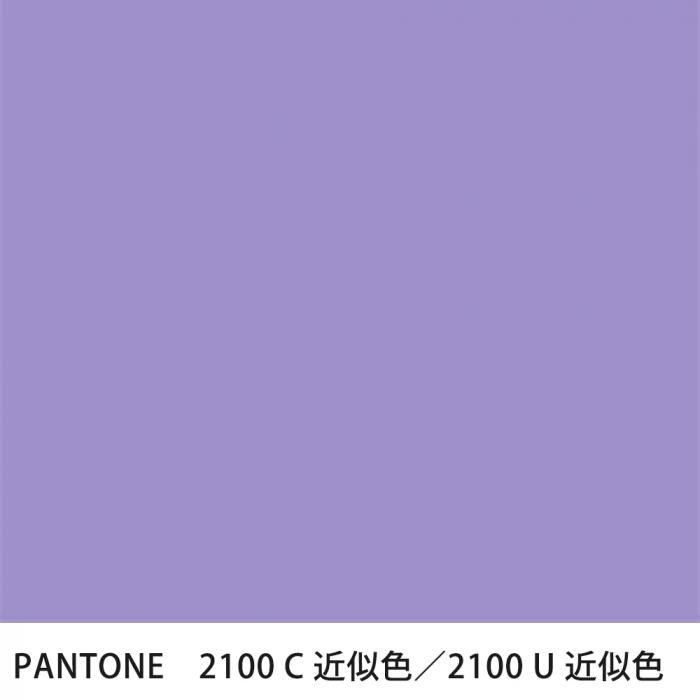  PANTONE 2100C2100U