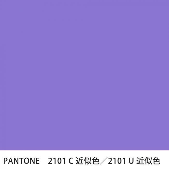  PANTONE 2101C2101U