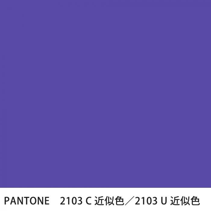  PANTONE 2103C2103U