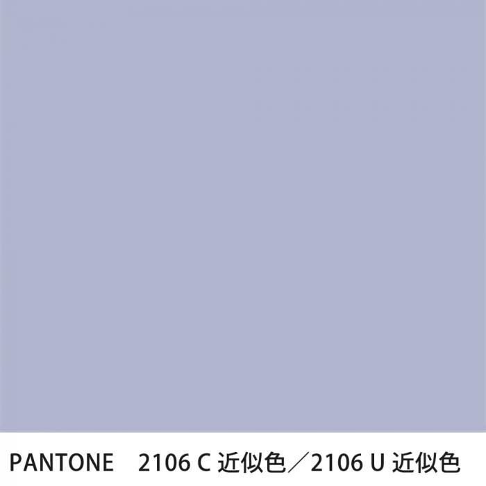  PANTONE 2106C2106U