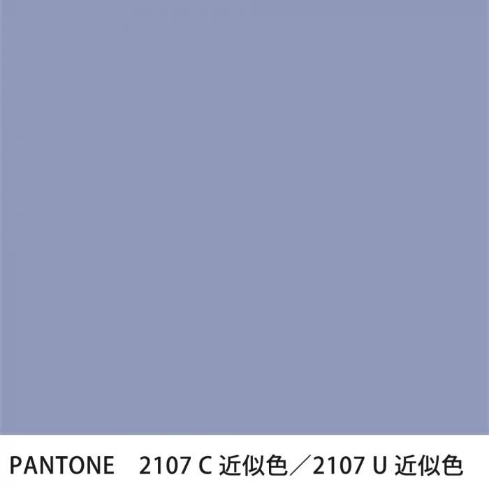  PANTONE 2107C2107U