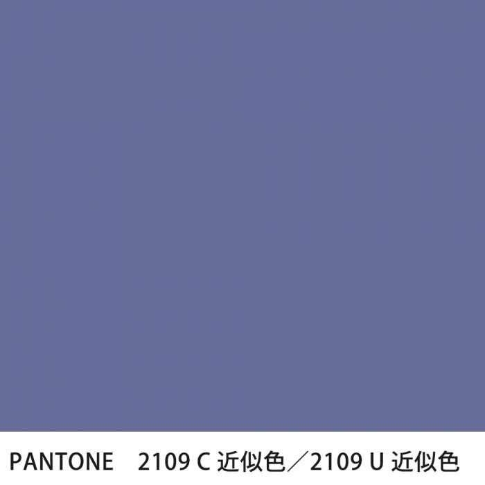  PANTONE 2109C2109U