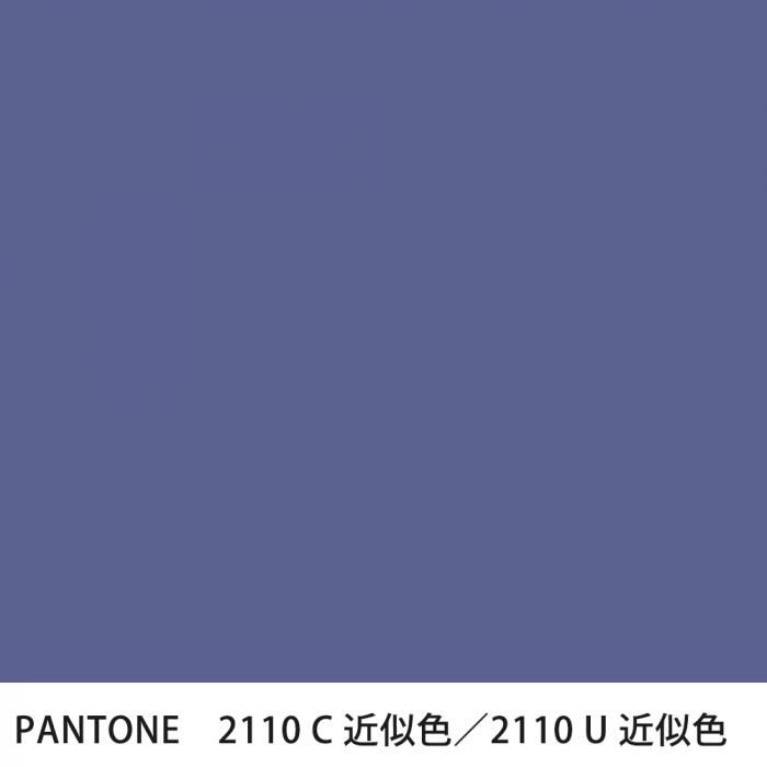  PANTONE 2110C2110U