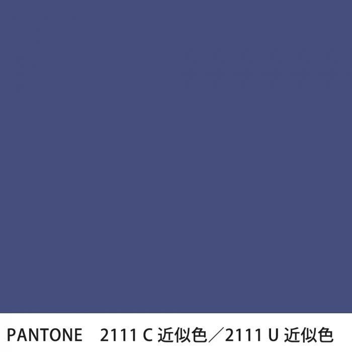  PANTONE 2111C2111U